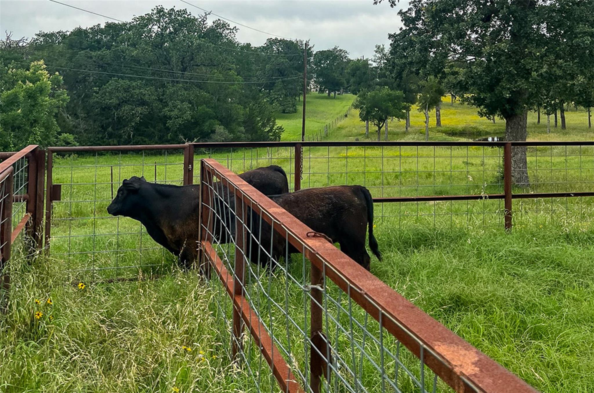 2936 FM 1704, Elgin, TX 78621