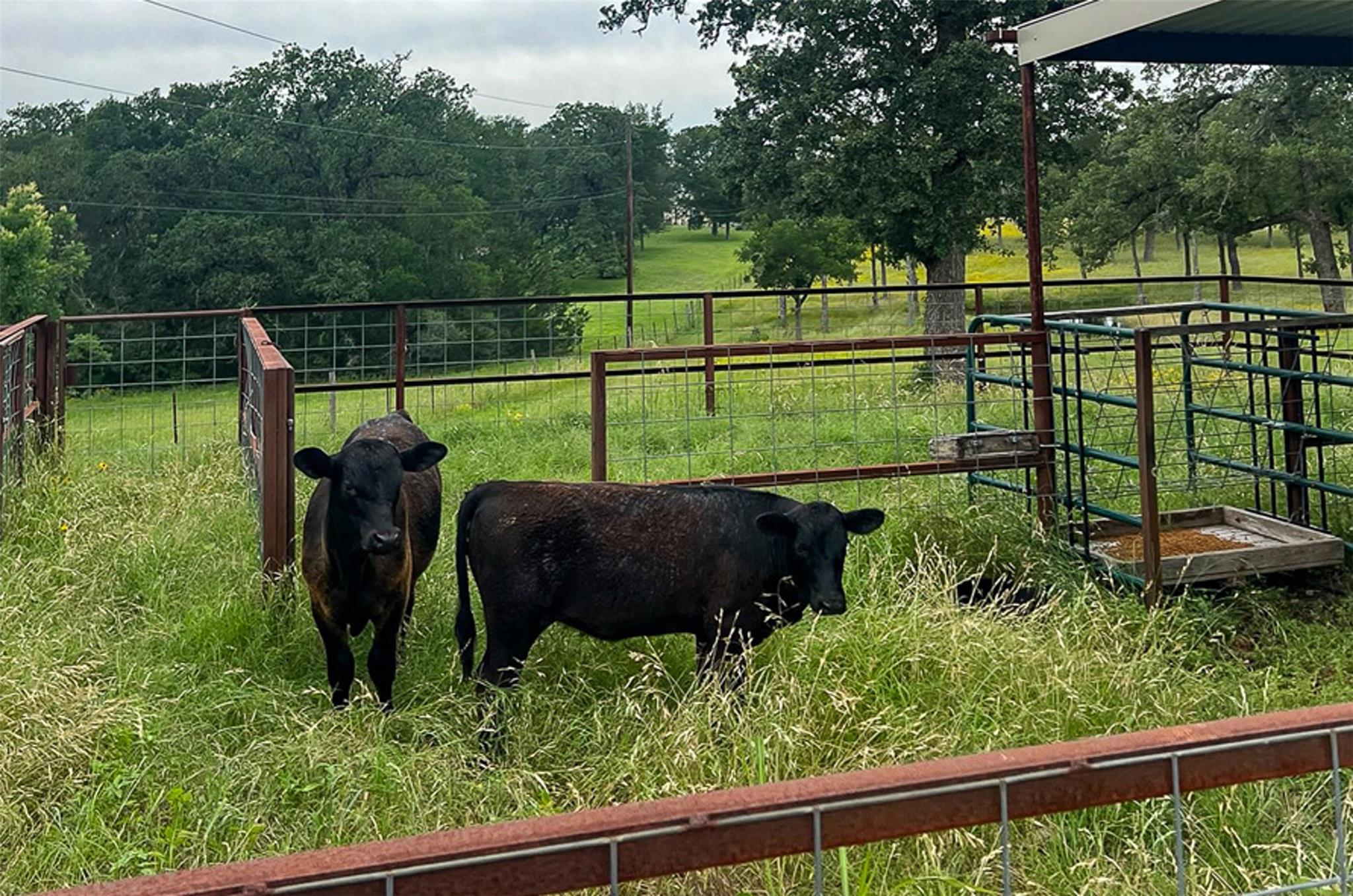 2936 FM 1704, Elgin, TX 78621