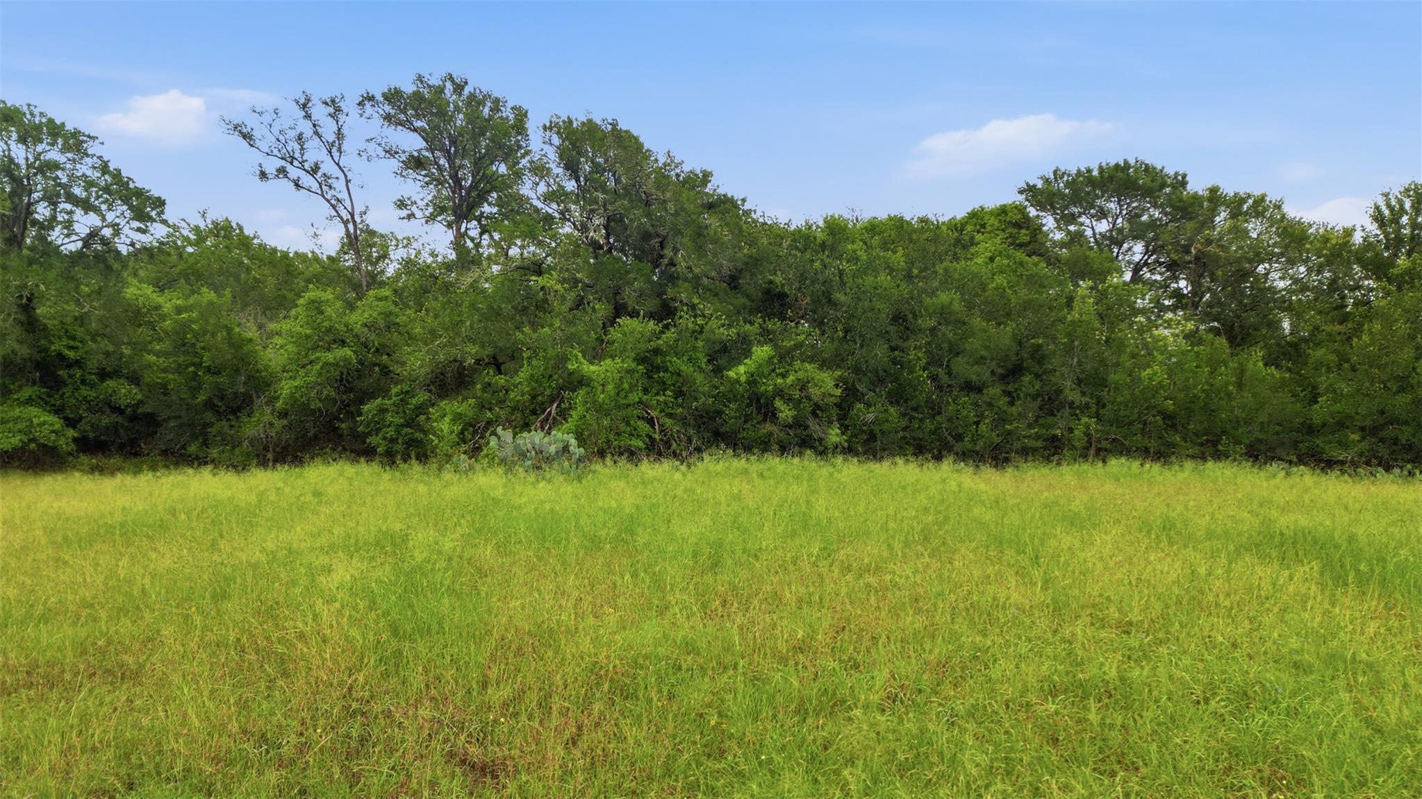 11615 Kingsbury Rd, Kingsbury, TX 78638