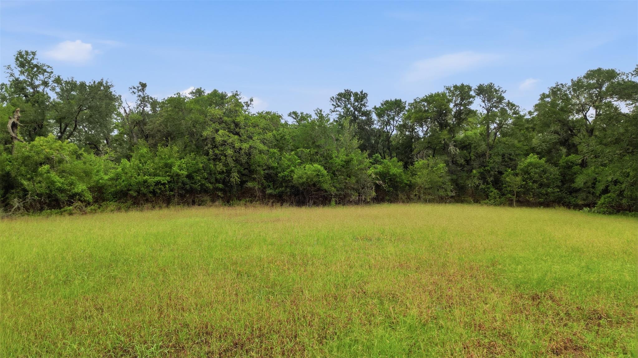 11615 Kingsbury Rd, Kingsbury, TX 78638