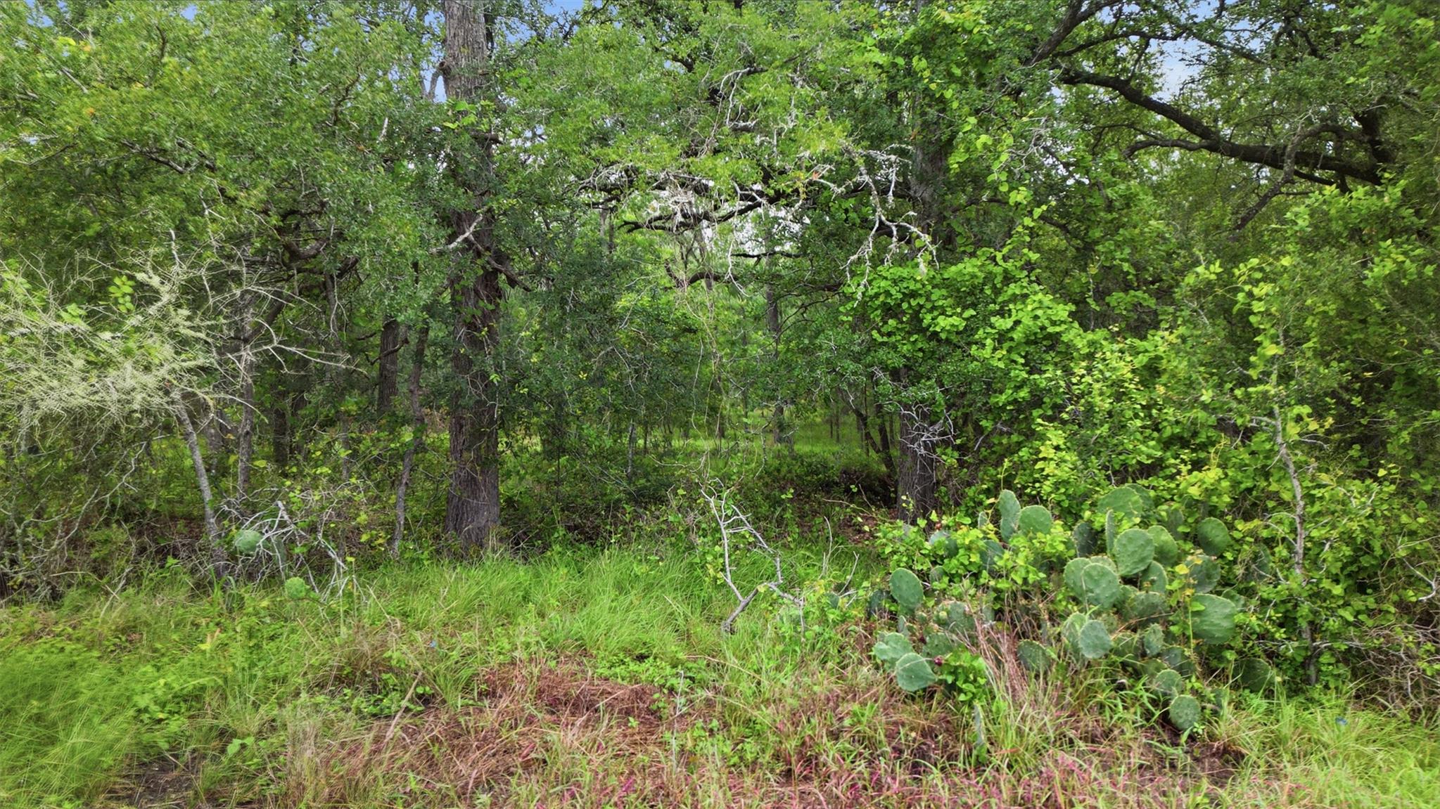 11615 Kingsbury Rd, Kingsbury, TX 78638