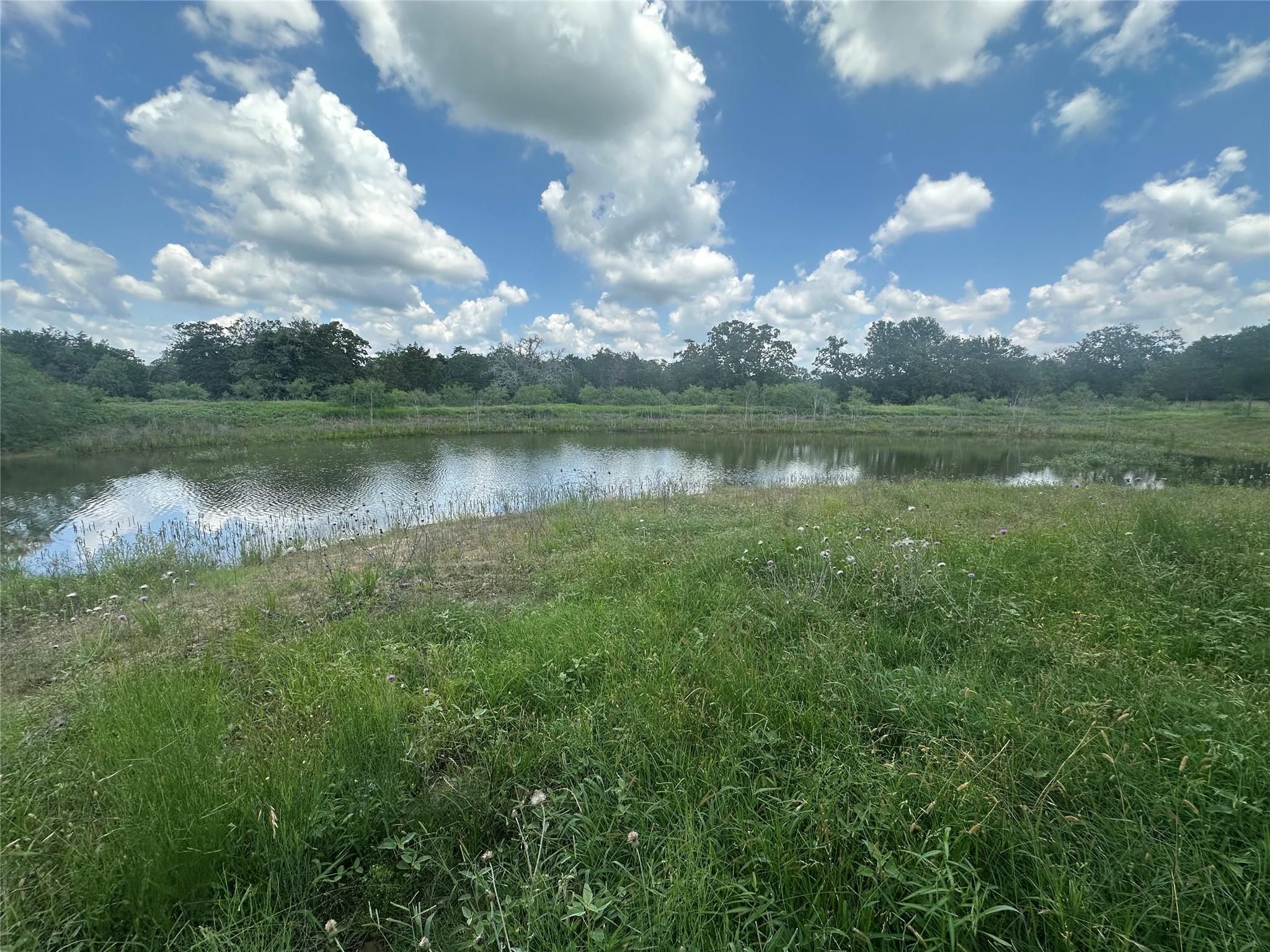 1403 Armstrong Derry Rd, Waelder, TX 78959