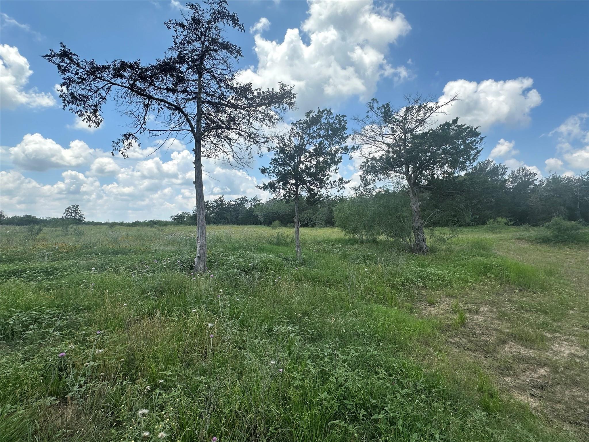 1403 Armstrong Derry Rd, Waelder, TX 78959