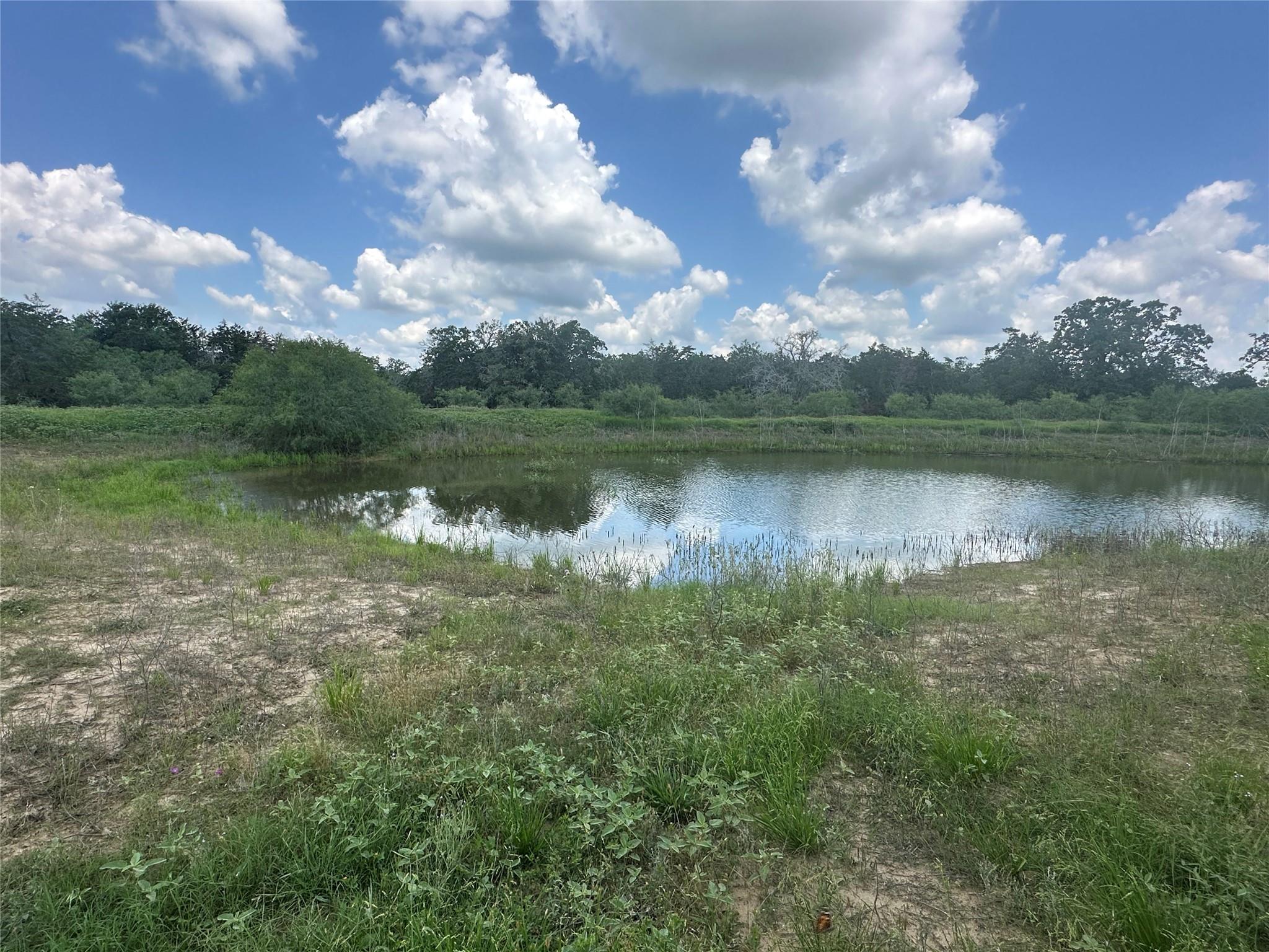 1403 Armstrong Derry Rd, Waelder, TX 78959