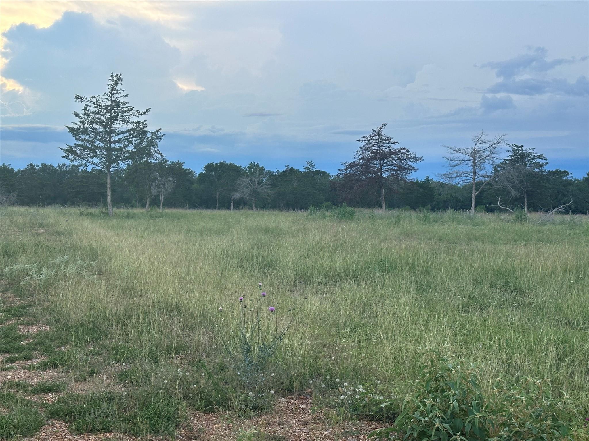 1403 Armstrong Derry Rd, Waelder, TX 78959