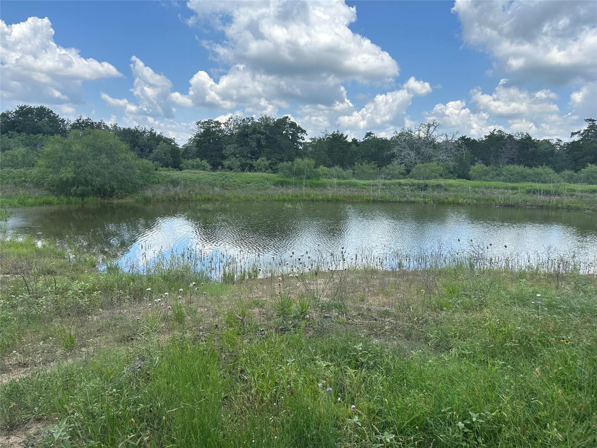 1403 Armstrong Derry Rd, Waelder, TX 78959