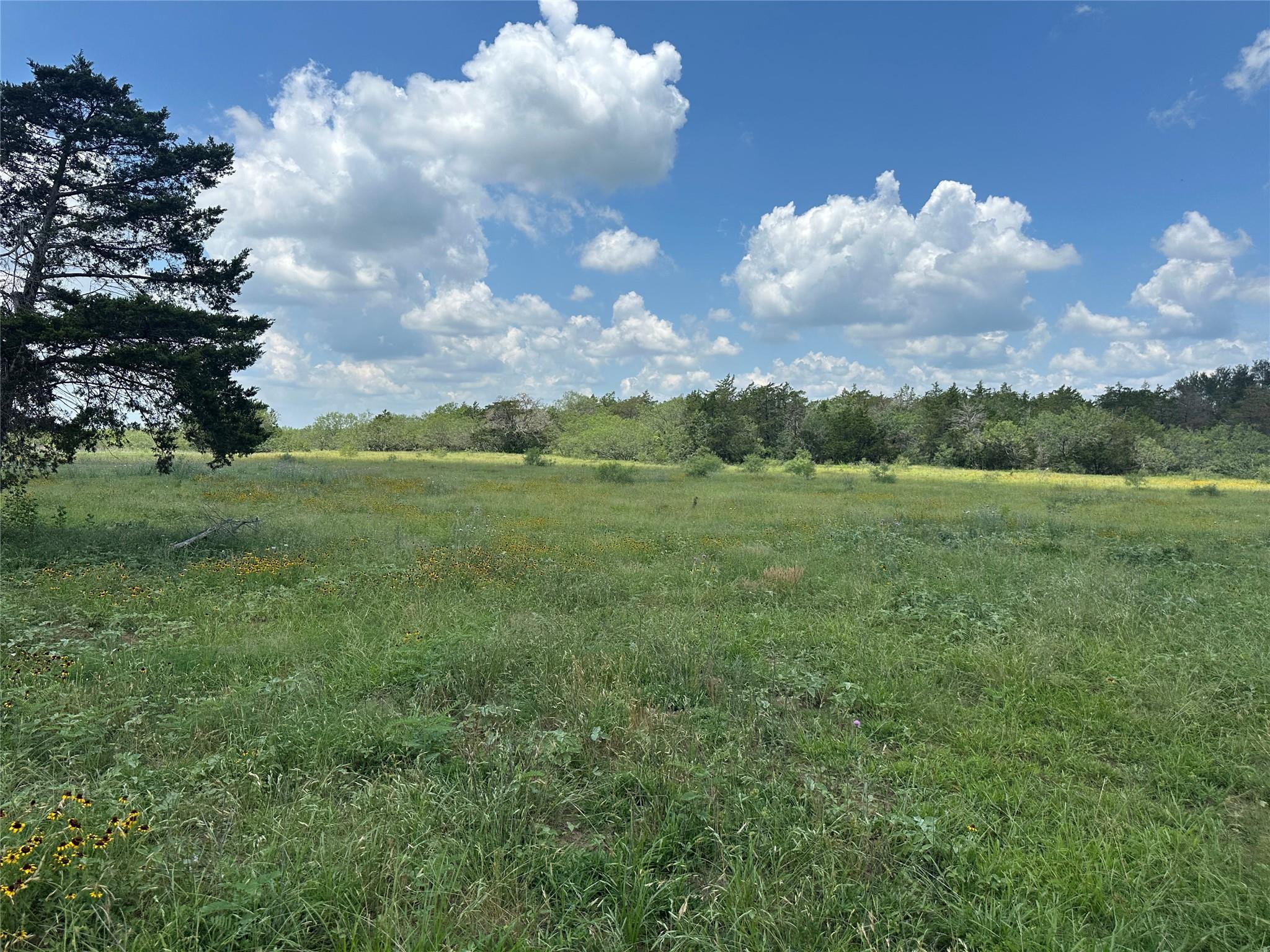 1403 Armstrong Derry Rd, Waelder, TX 78959