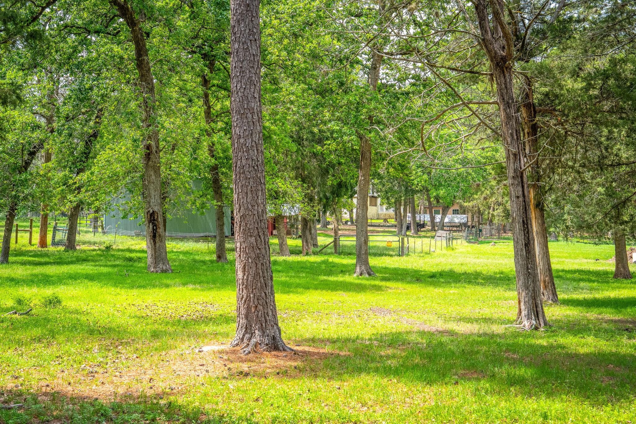 1055 BEECH CREST DR Dr, New Ulm, TX 78950