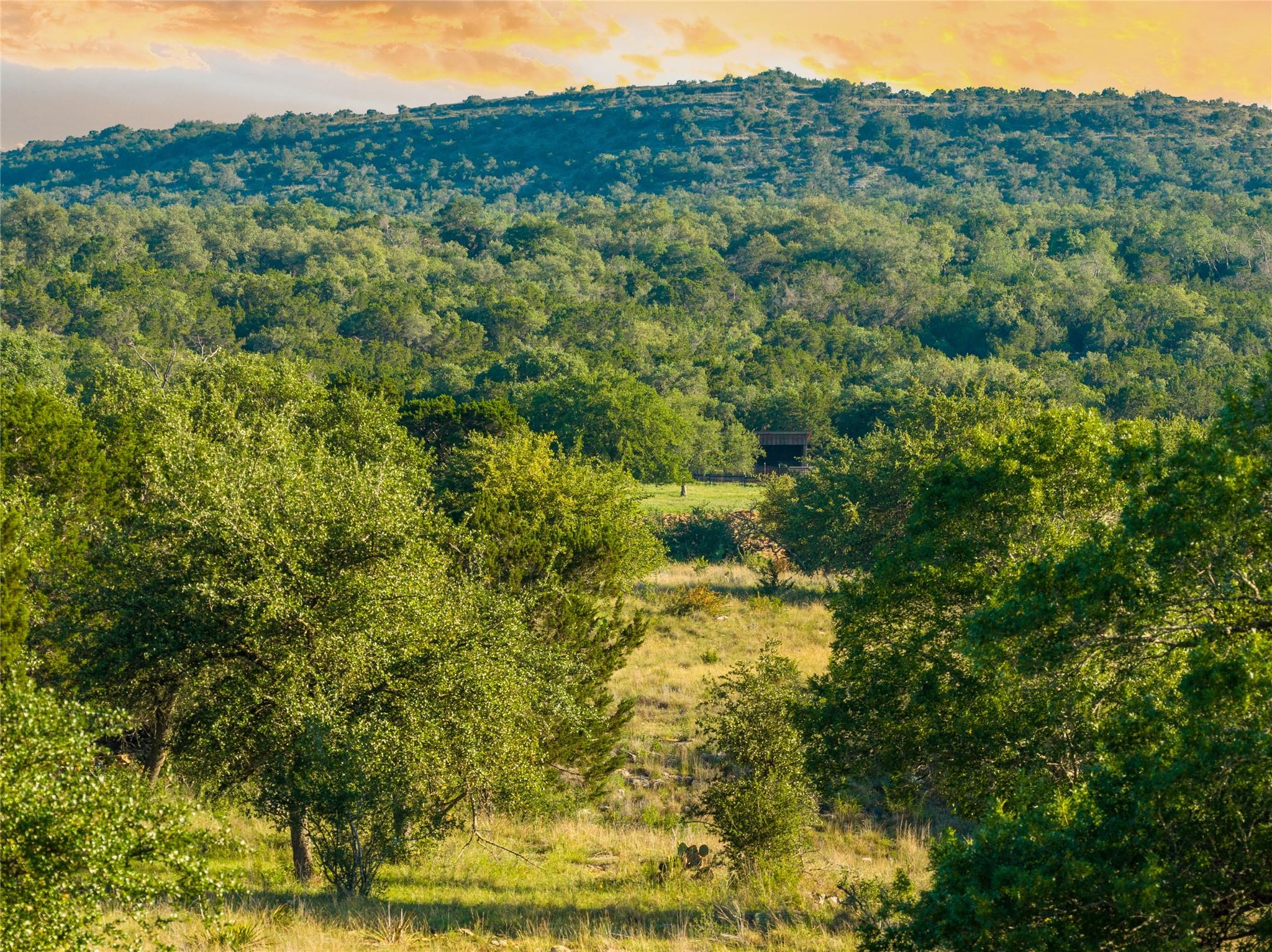 TBD Mount Sharp Road (Private Road) Rd, Wimberley, TX 78676