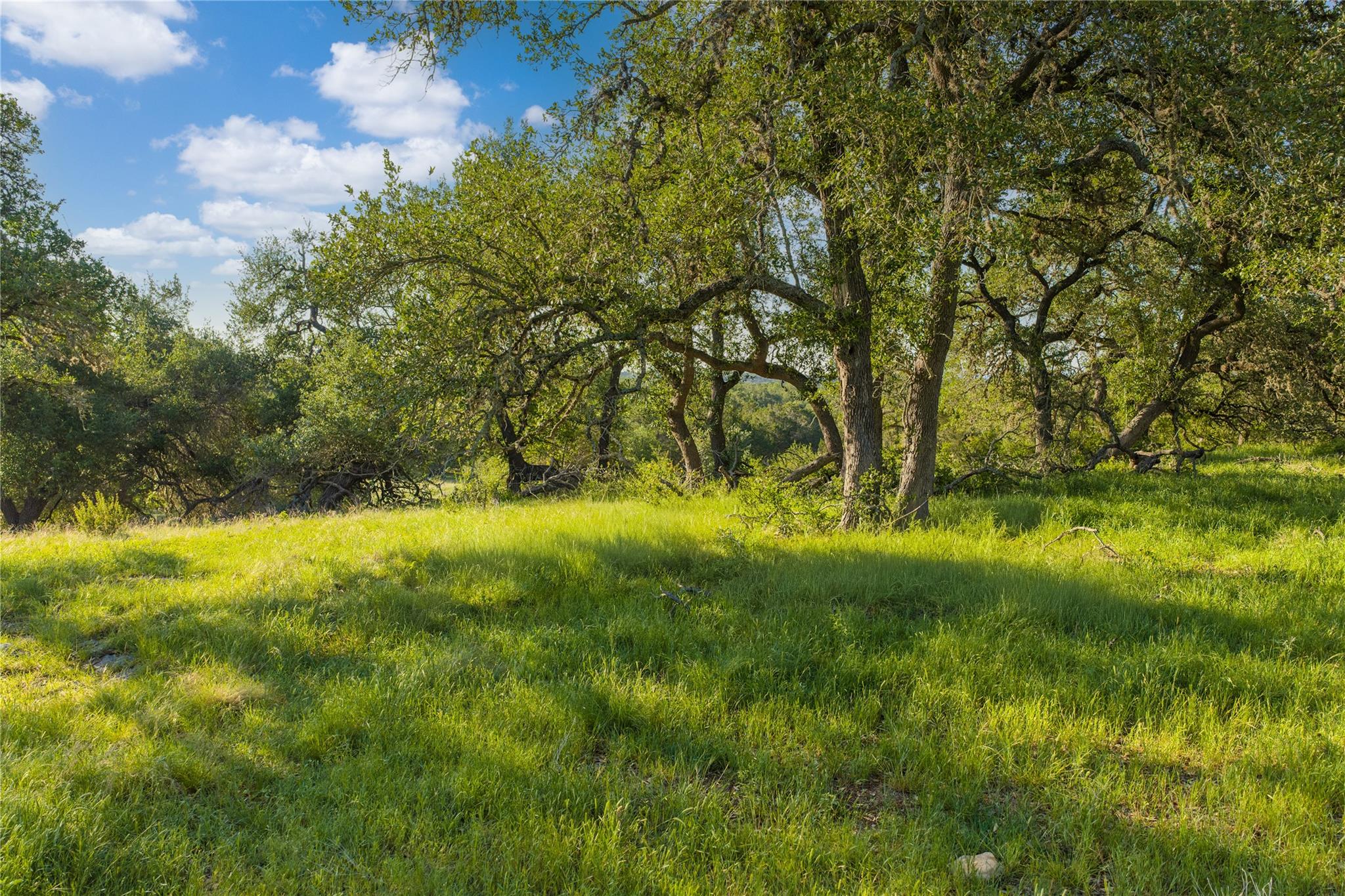 TBD Mount Sharp Road (Private Road) Rd, Wimberley, TX 78676