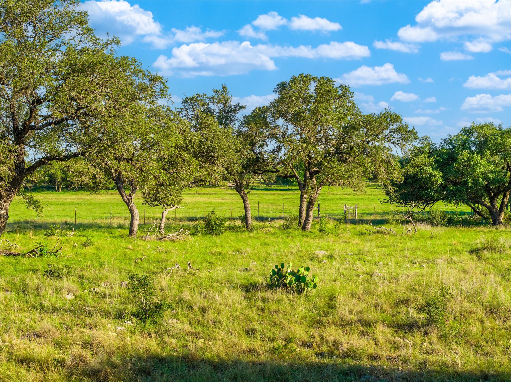 TBD Mount Sharp Road (Private Road) Rd, Wimberley, TX 78676