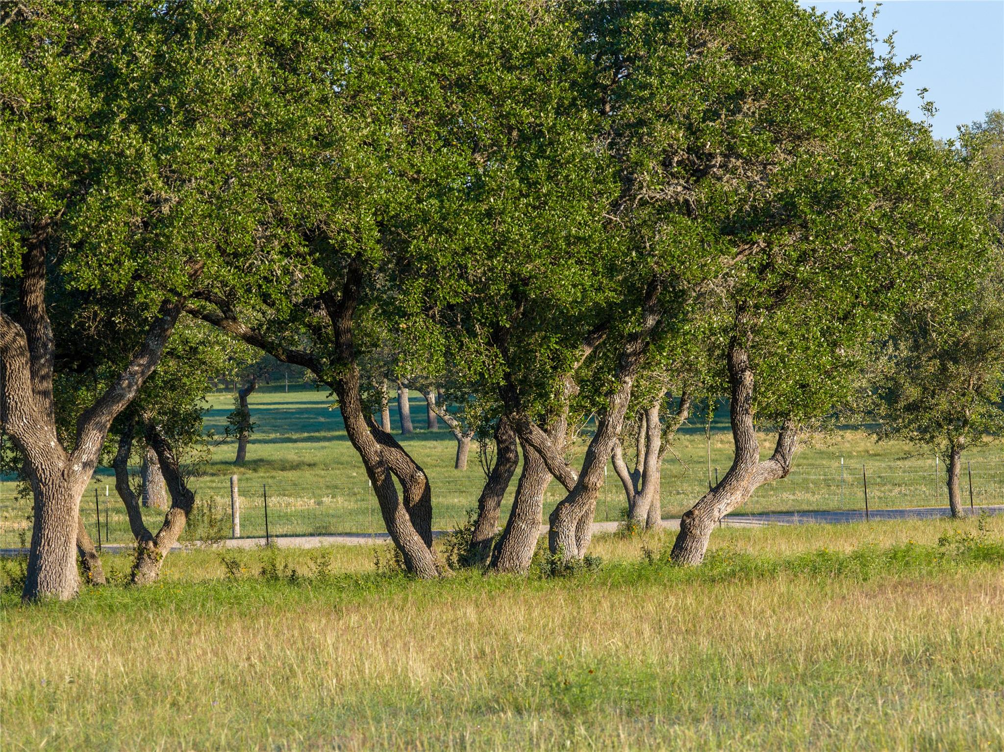 TBD Mount Sharp Rd, Wimberley, TX 78676