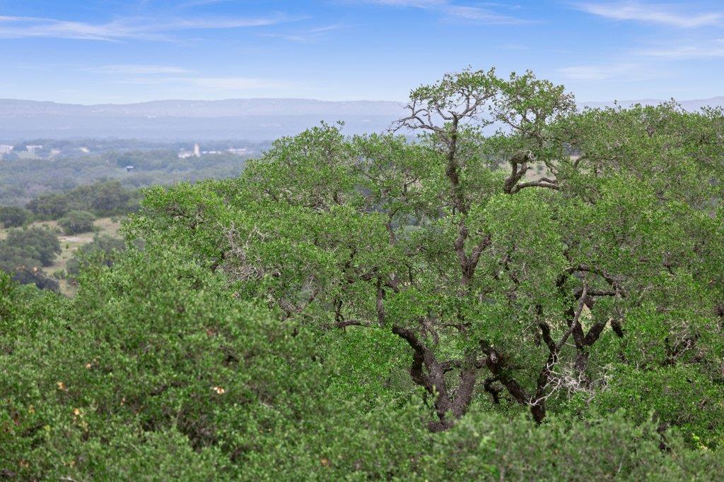 292 N Scenic Hills Ct, Blanco, TX 78606