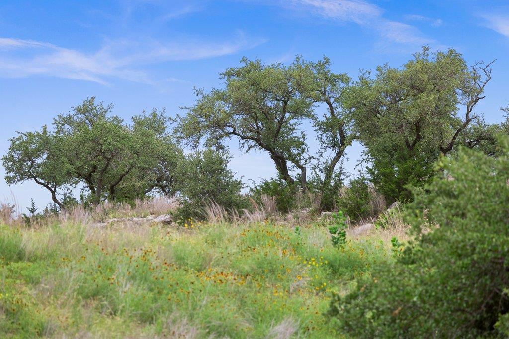 292 N Scenic Hills Ct, Blanco, TX 78606