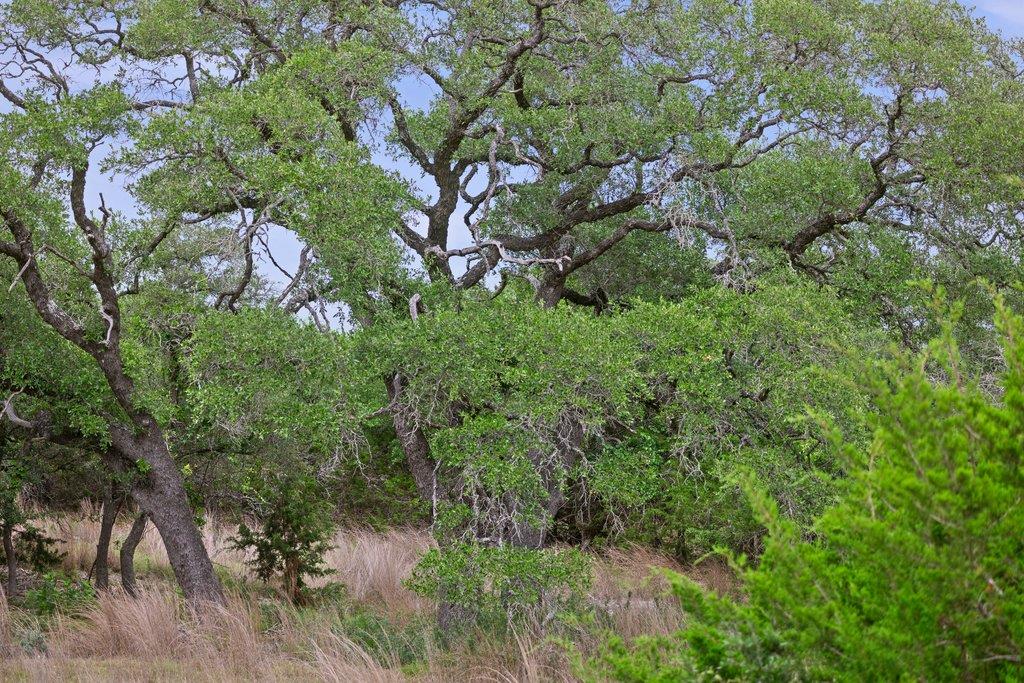 292 N Scenic Hills Ct, Blanco, TX 78606