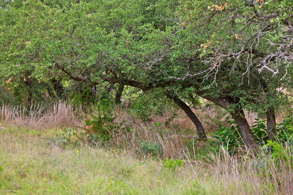 292 N Scenic Hills Ct, Blanco, TX 78606