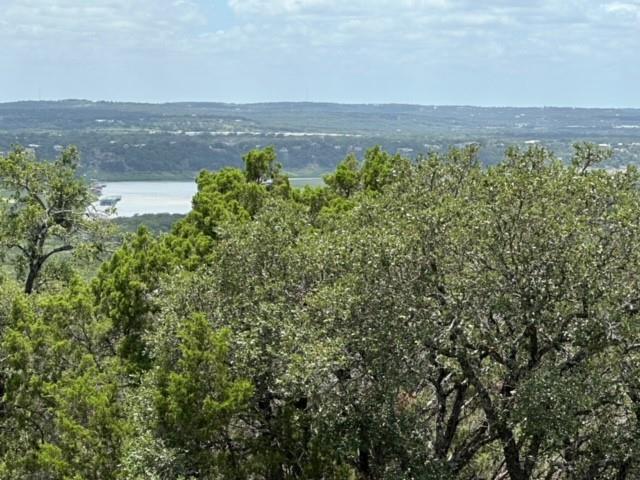 6232 Paradise Manor Cir, Marble Falls, TX 78654