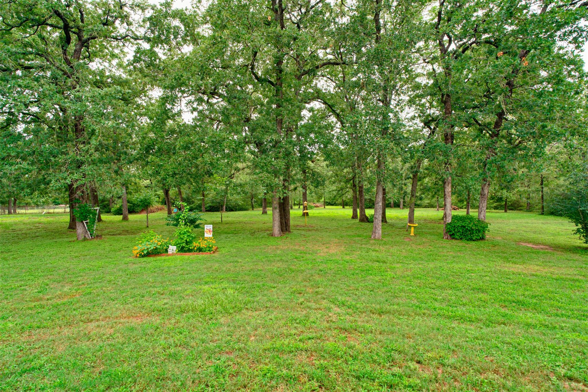 3062 S Hwy 77, Rockdale, TX 76567