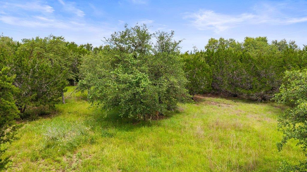 265 Magnolia Blossom Cv, Driftwood, TX 78619