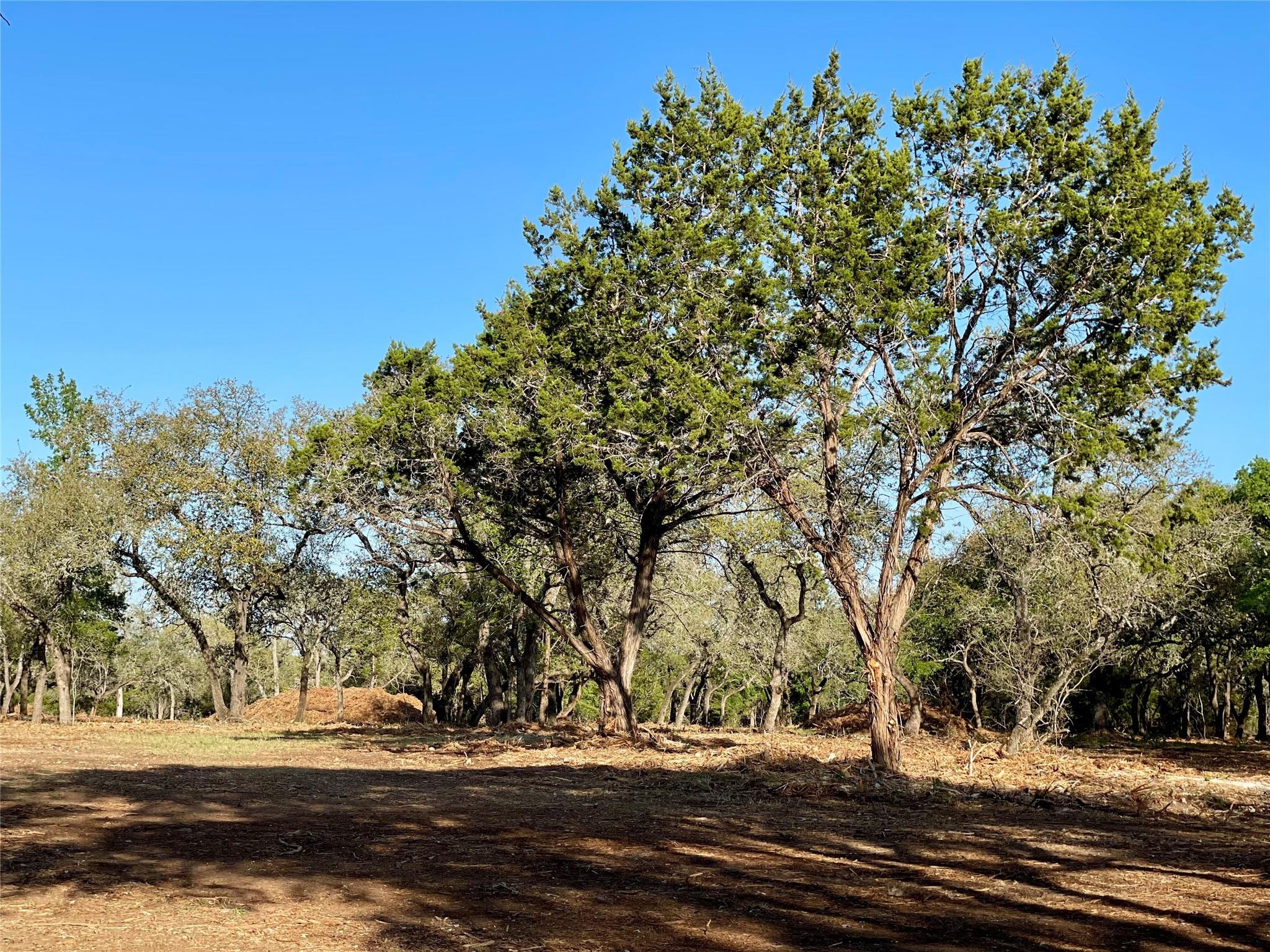 1435 Hilliard Rd, San Marcos, TX 78666