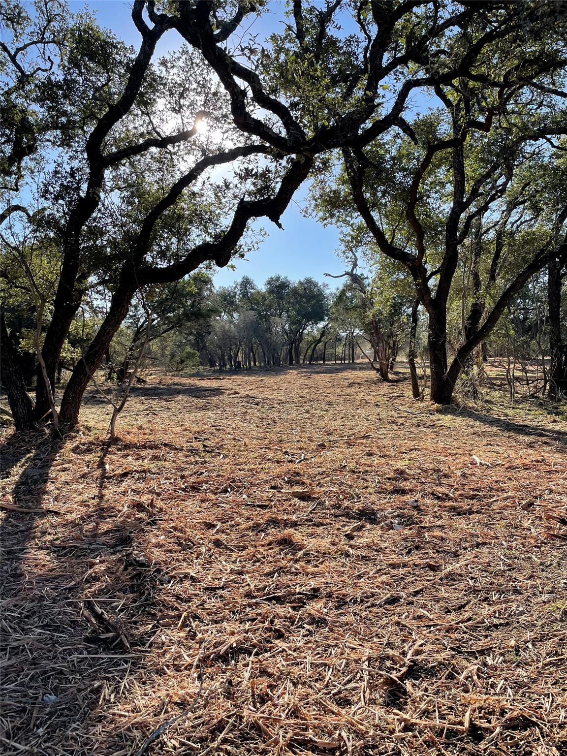 1435 Hilliard Rd, San Marcos, TX 78666