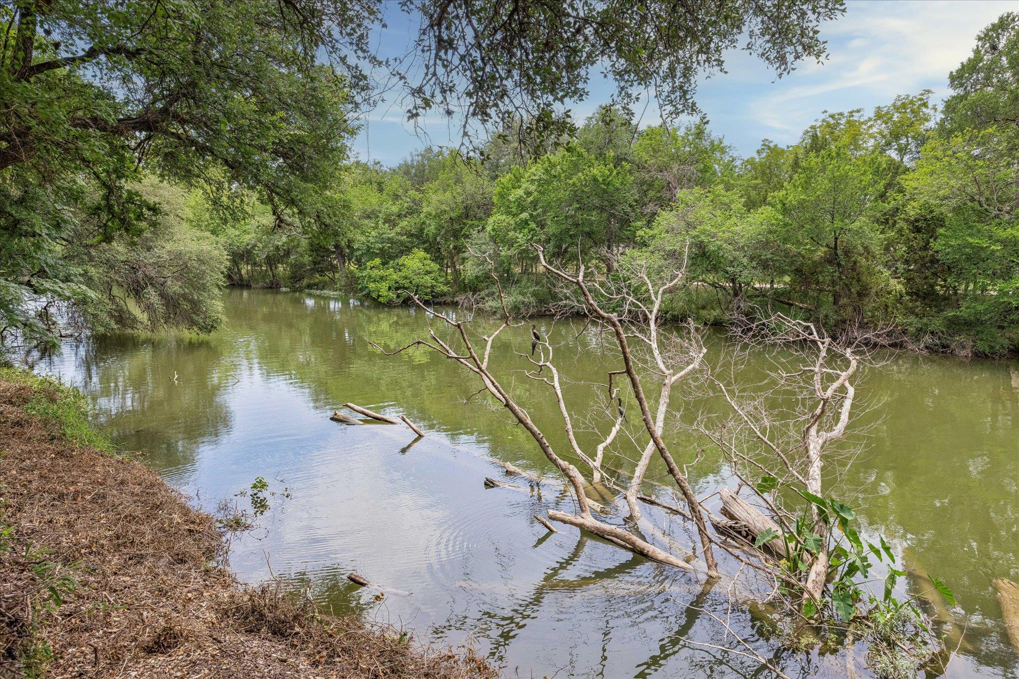 1804 Brushy Bend Dr, Round Rock, TX 78681