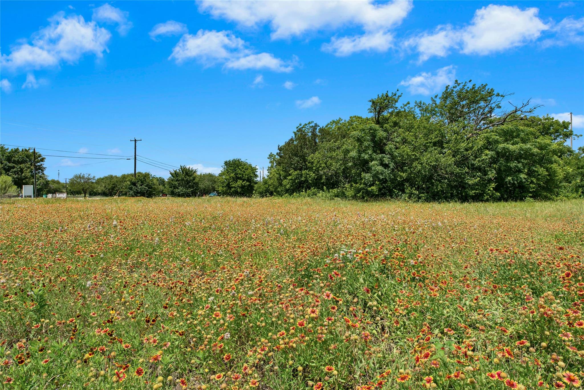 1010 Pembroke Ct, Hutto, TX 78634
