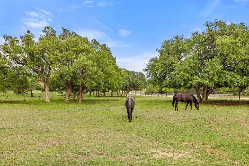 2560 Bell Springs Rd, Dripping Springs, TX 78620