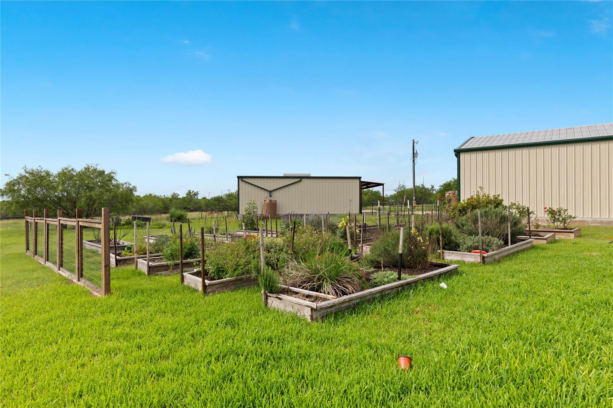 1293 Pioneer Rd, Seguin, TX 78155