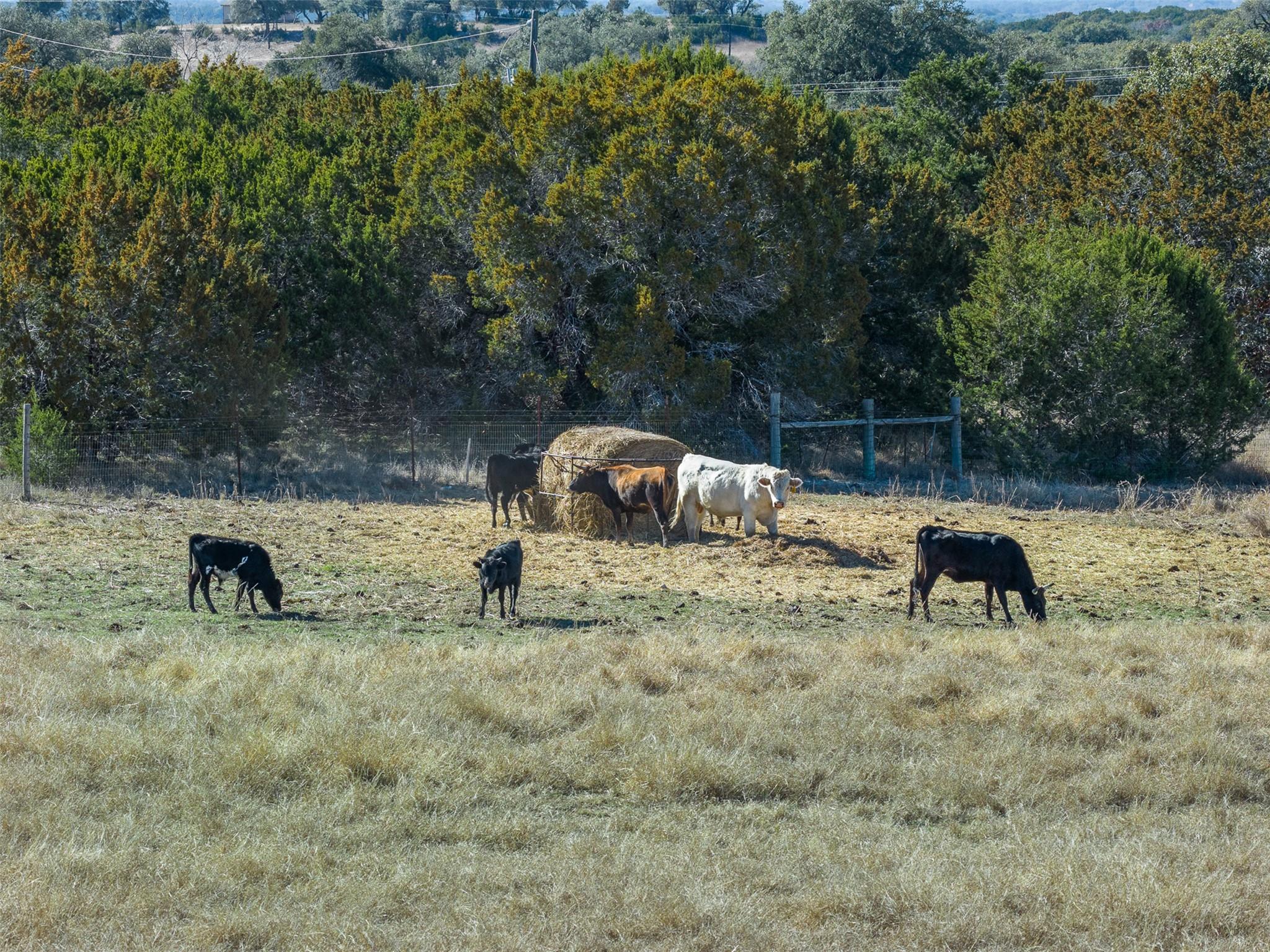 197 Live Oak Cemetery Rd, Killeen, TX 76542
