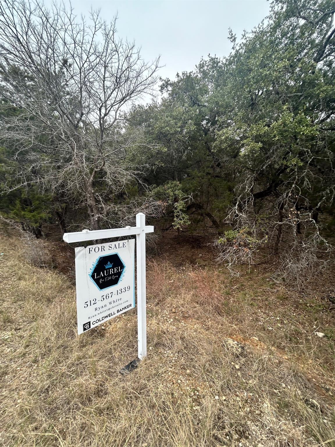 21502 Cardinal Ave, Leander, TX 78645