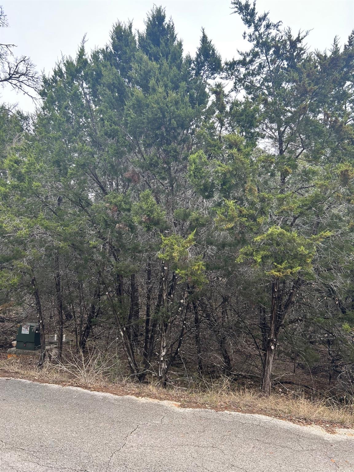 21502 Cardinal Ave, Leander, TX 78645