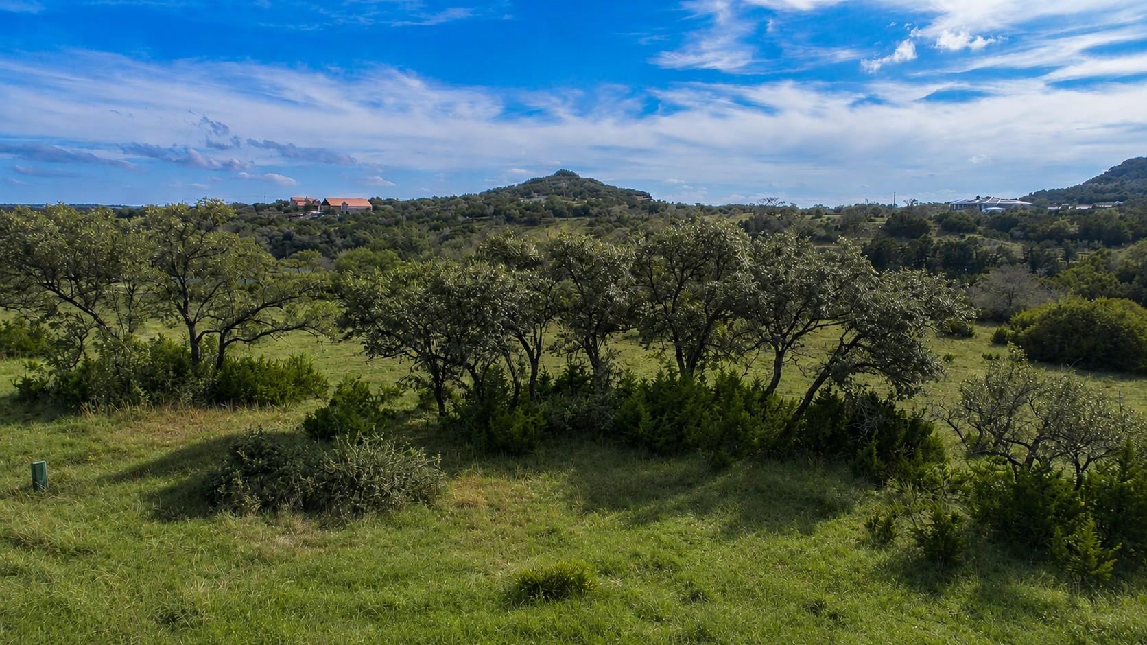 717 Bluff Ridge Trl, Blanco, TX 78606