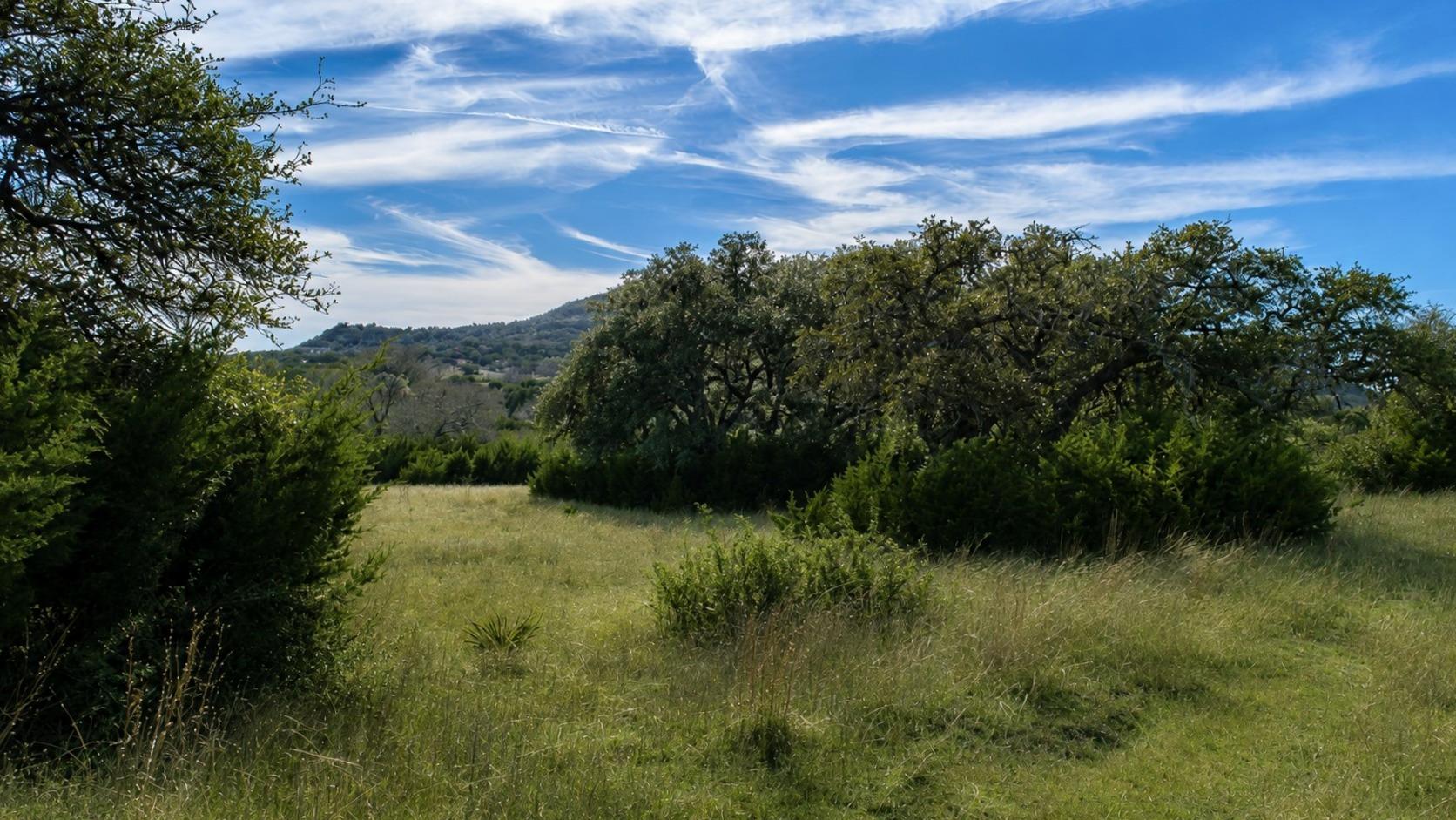 717 Bluff Ridge Trl, Blanco, TX 78606