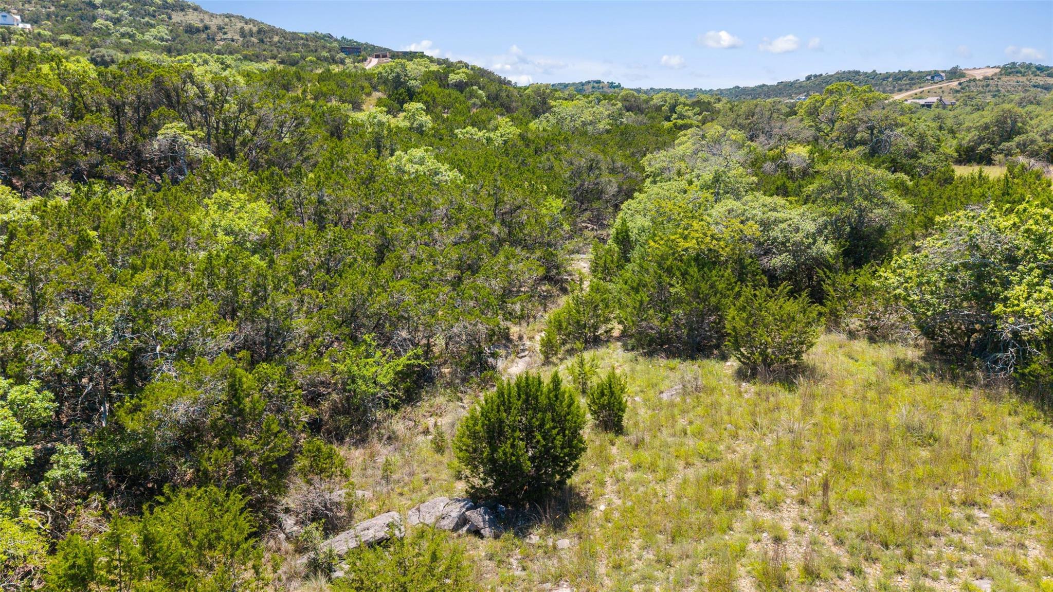 717 Bluff Ridge Trl, Blanco, TX 78606