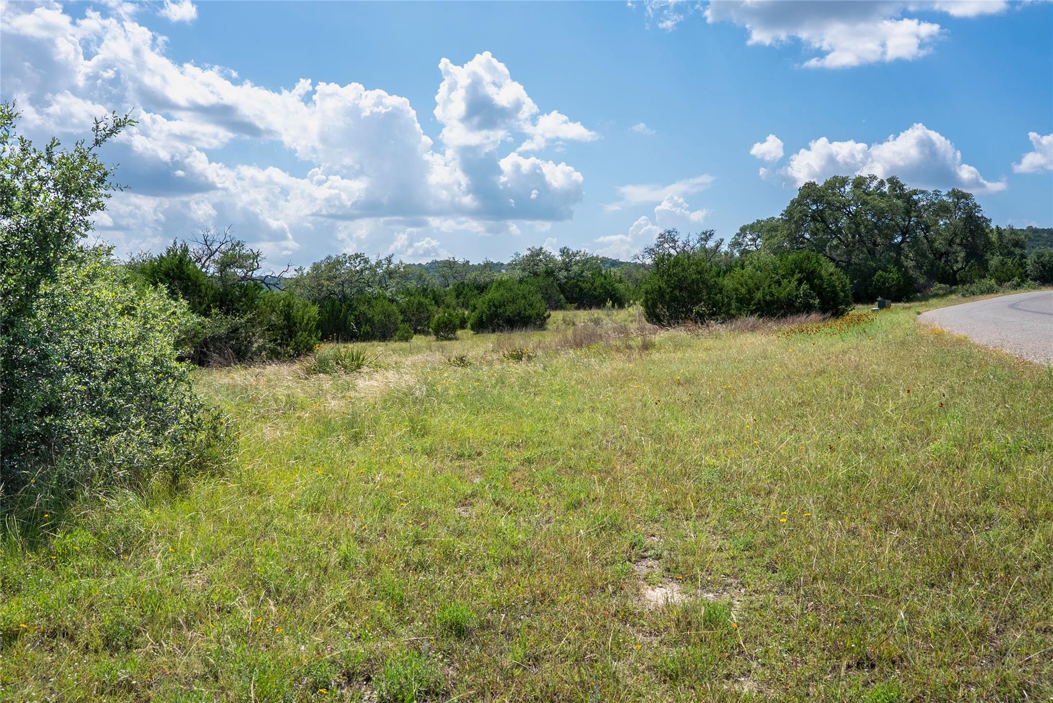 717 Bluff Ridge Trl, Blanco, TX 78606