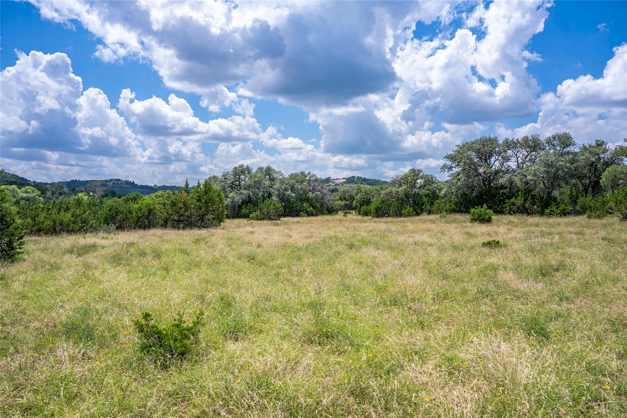 717 Bluff Ridge Trl, Blanco, TX 78606
