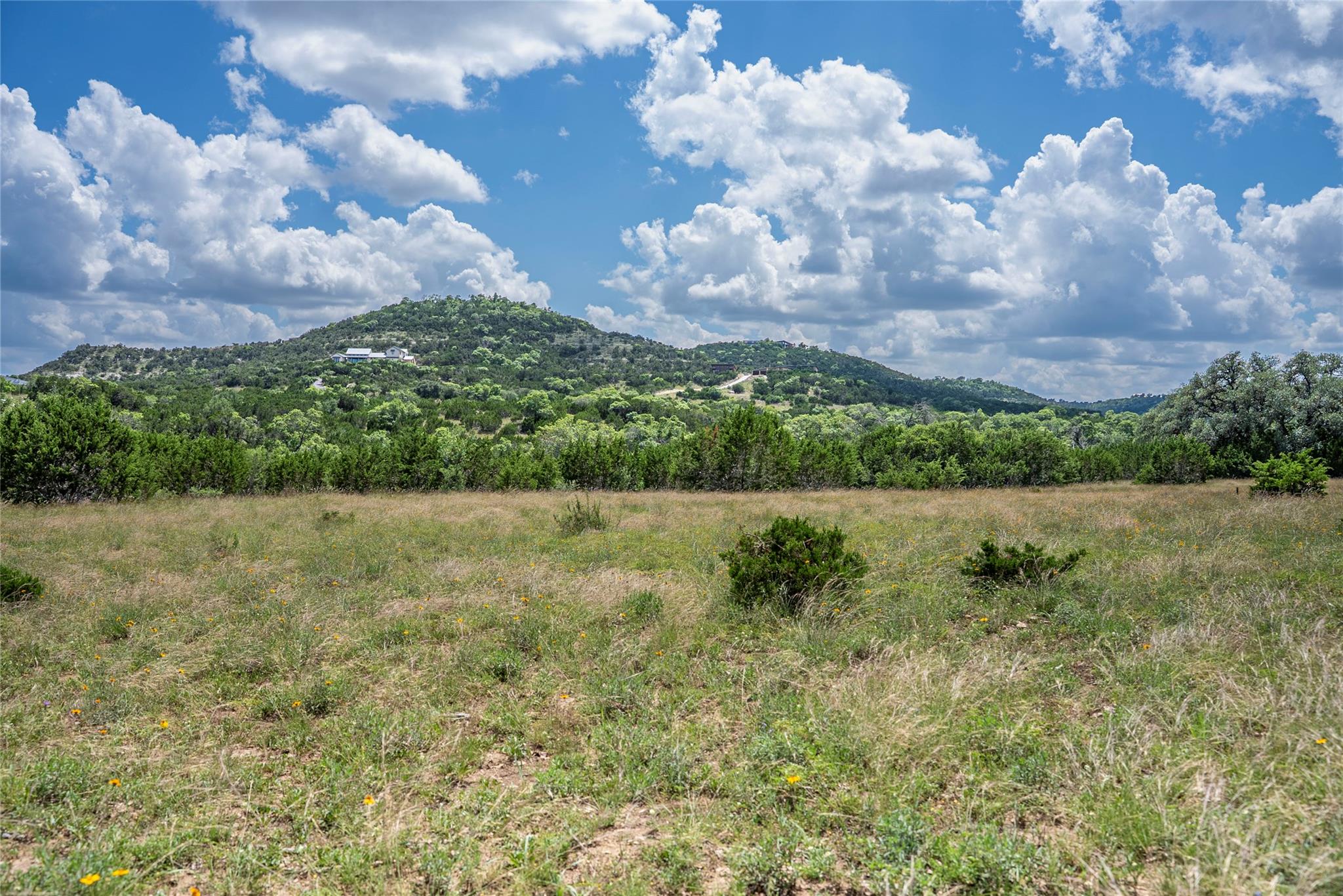 717 Bluff Ridge Trl, Blanco, TX 78606