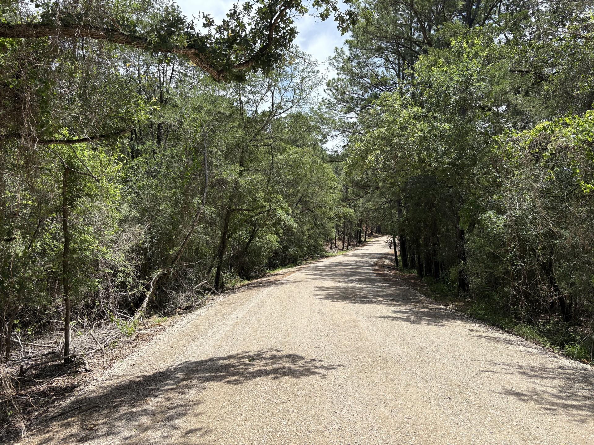 Lot 1228 & 1229 Hanauma Dr, Bastrop, TX 78602