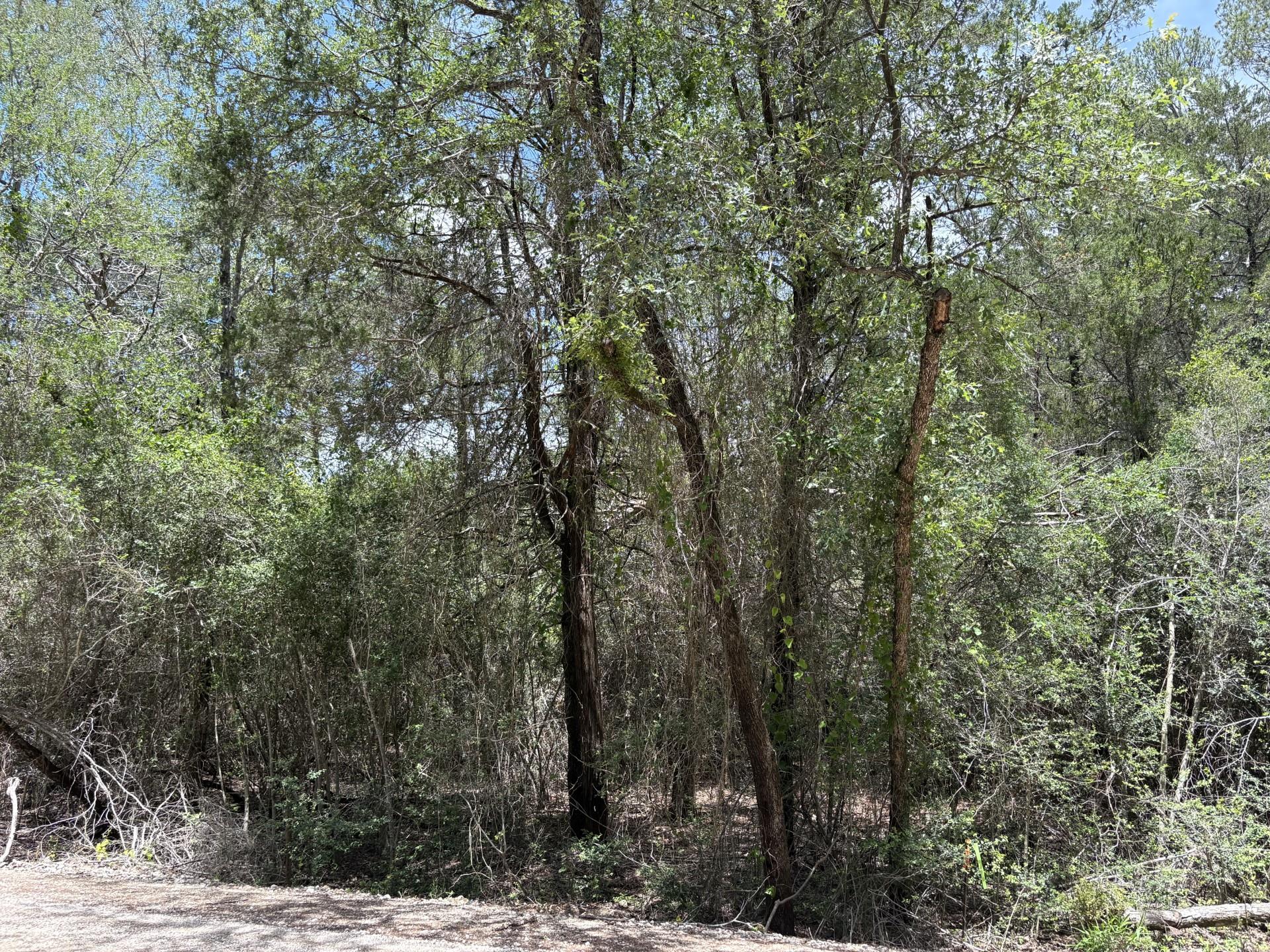 Lot 1228 & 1229 Hanauma Dr, Bastrop, TX 78602