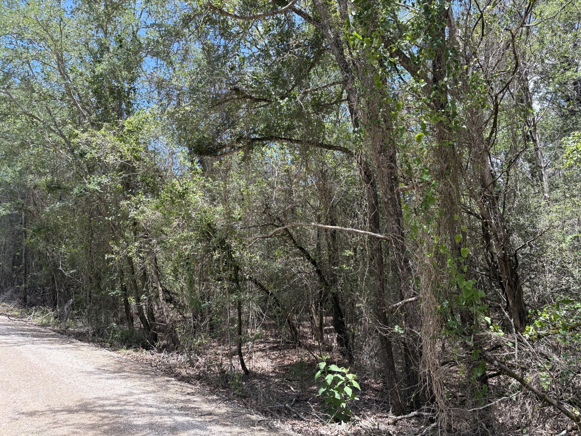 Lot 1228 & 1229 Hanauma Dr, Bastrop, TX 78602