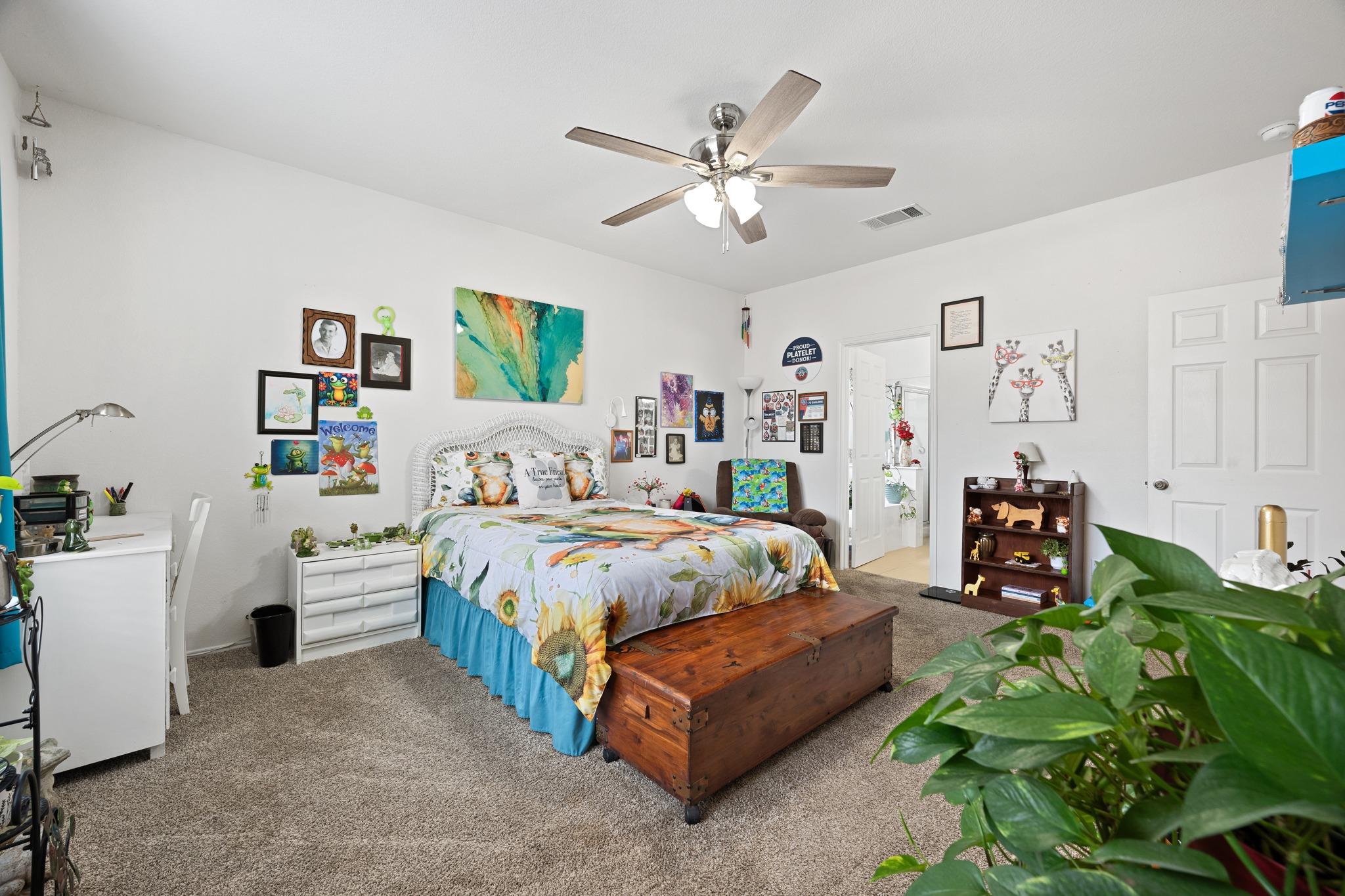 20316 Merlin Falcon Trl, Pflugerville, TX 78660