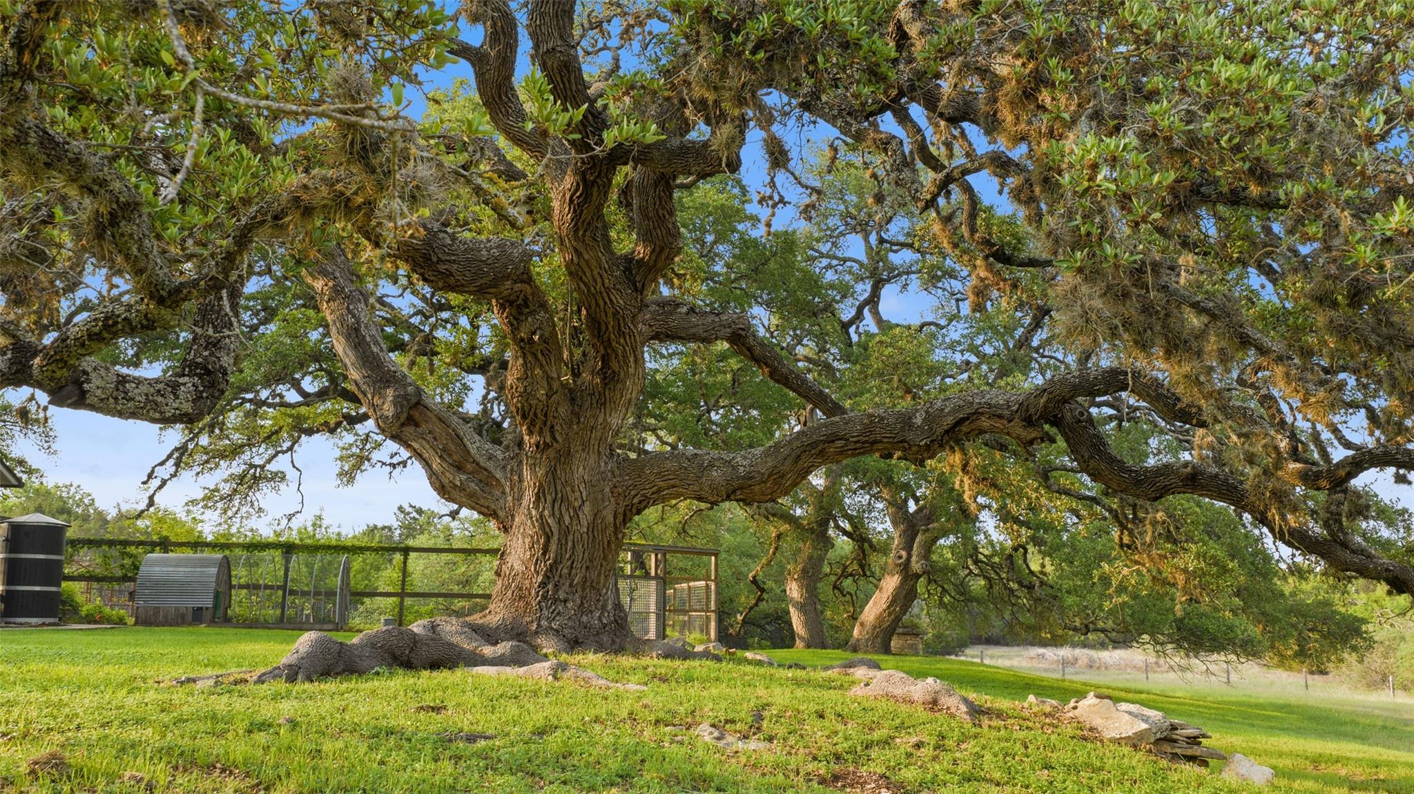 1900 Pursley Rd, Dripping Springs, TX 78620