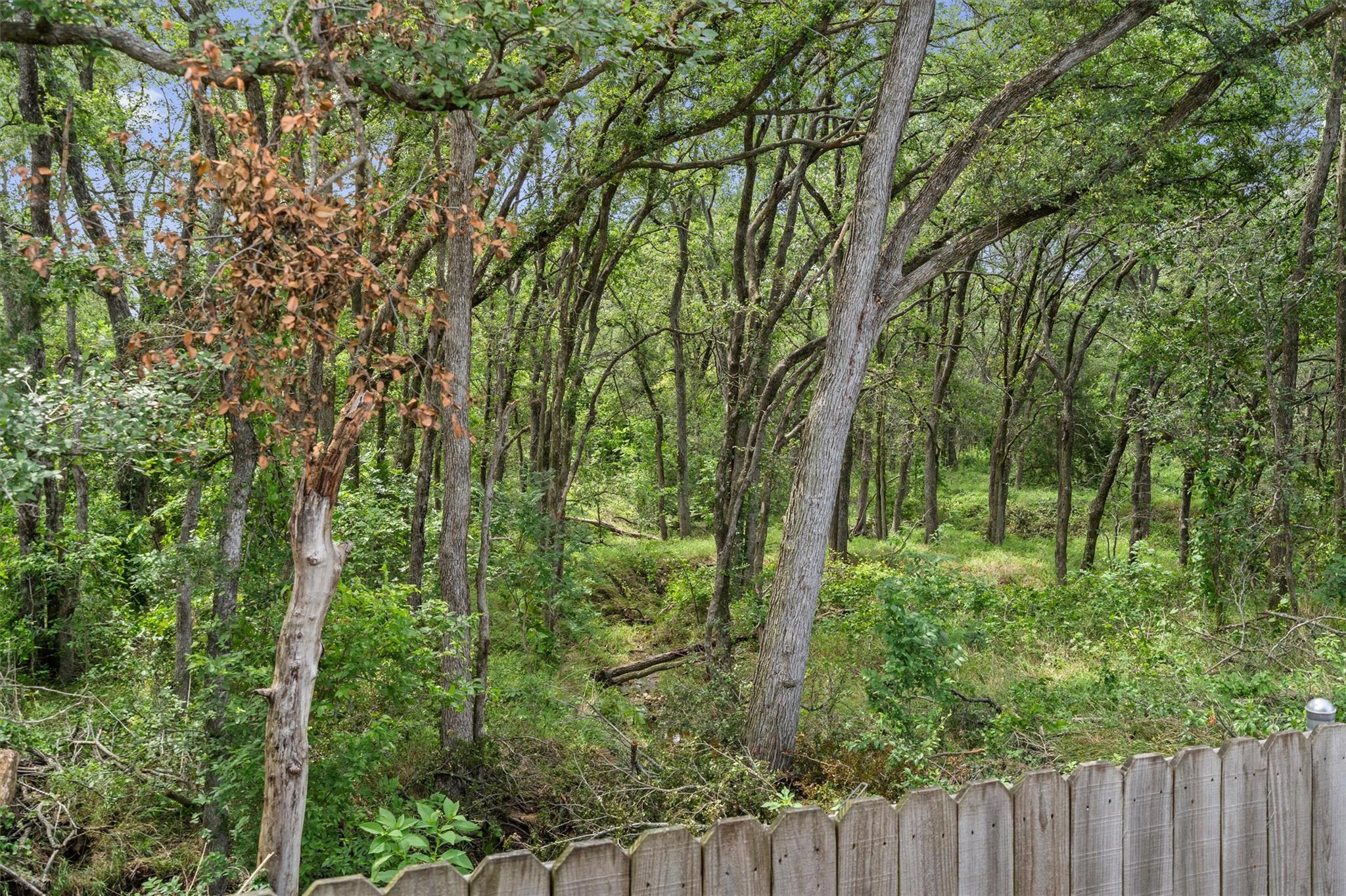 207 Antietam Dr, Elgin, TX 78621