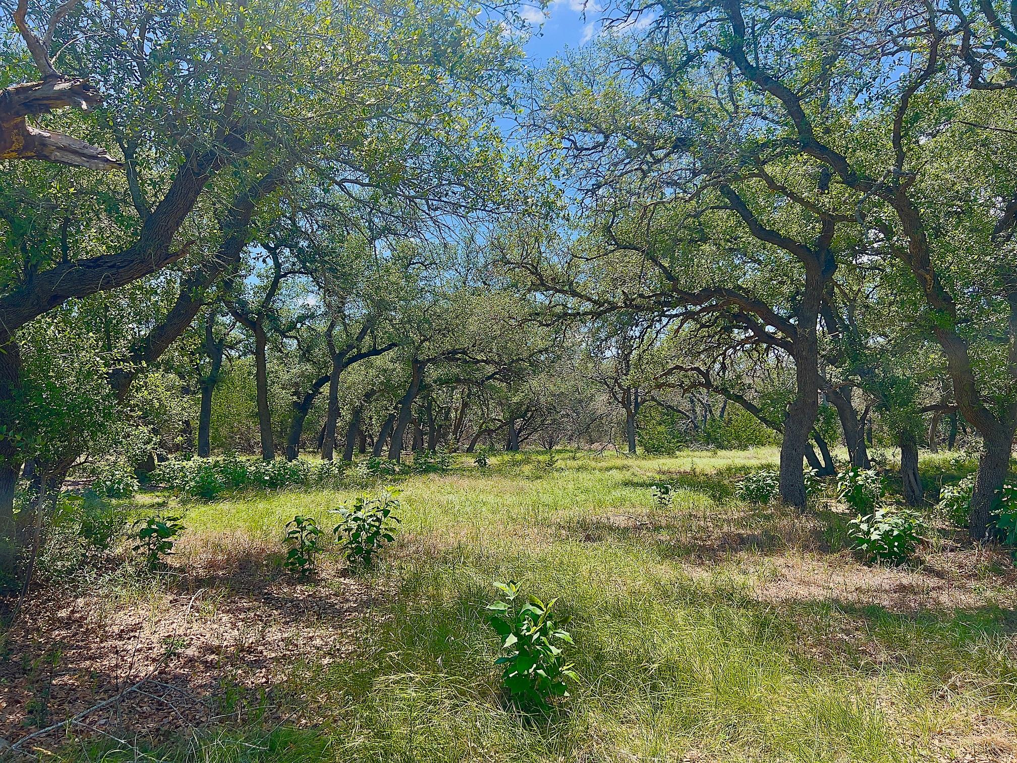 1366 Narrows Rd, Blanco, TX 78606