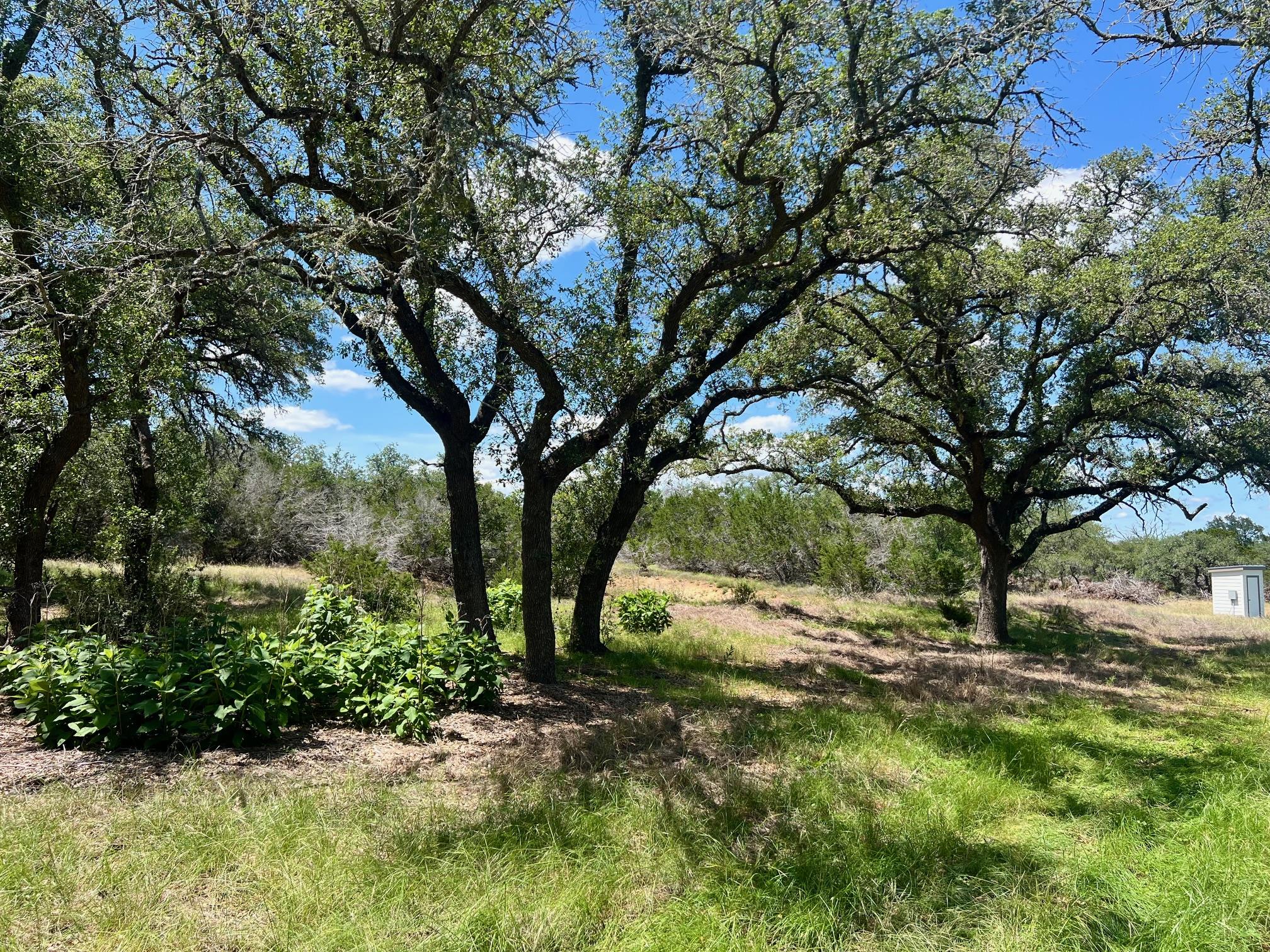 1366 Narrows Rd, Blanco, TX 78606