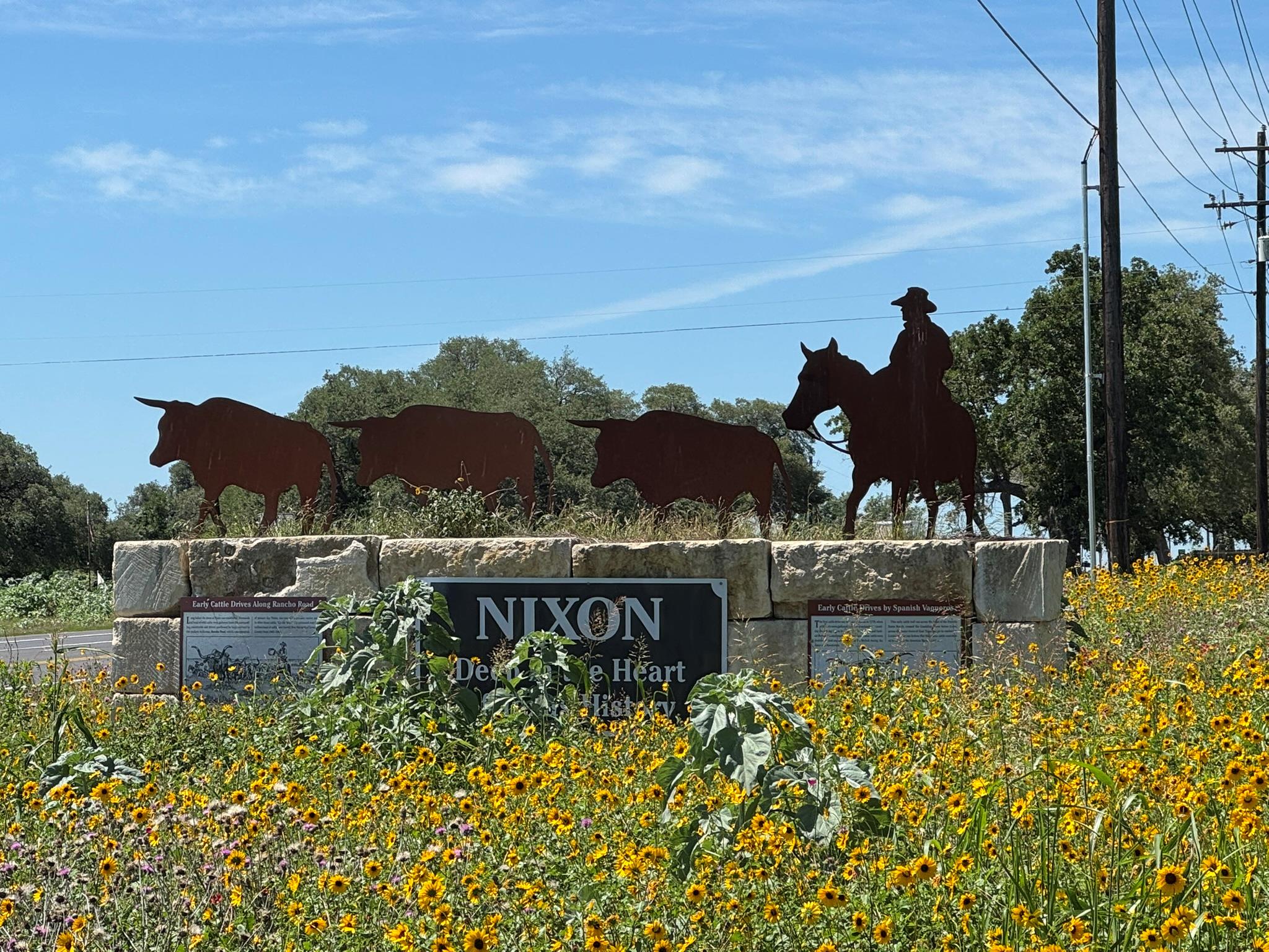 120 W 3rd St, Nixon, TX 78140