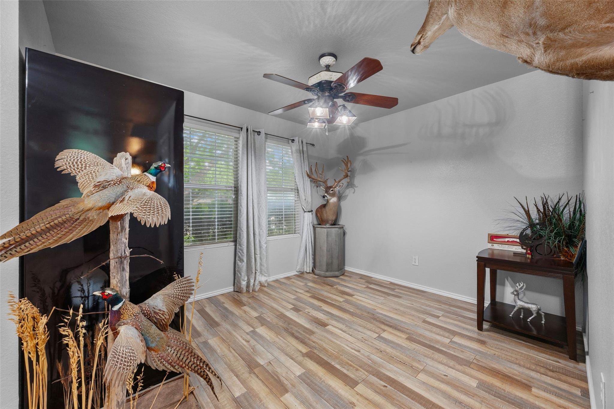 951 Brandi Cir, Kyle, TX 78640