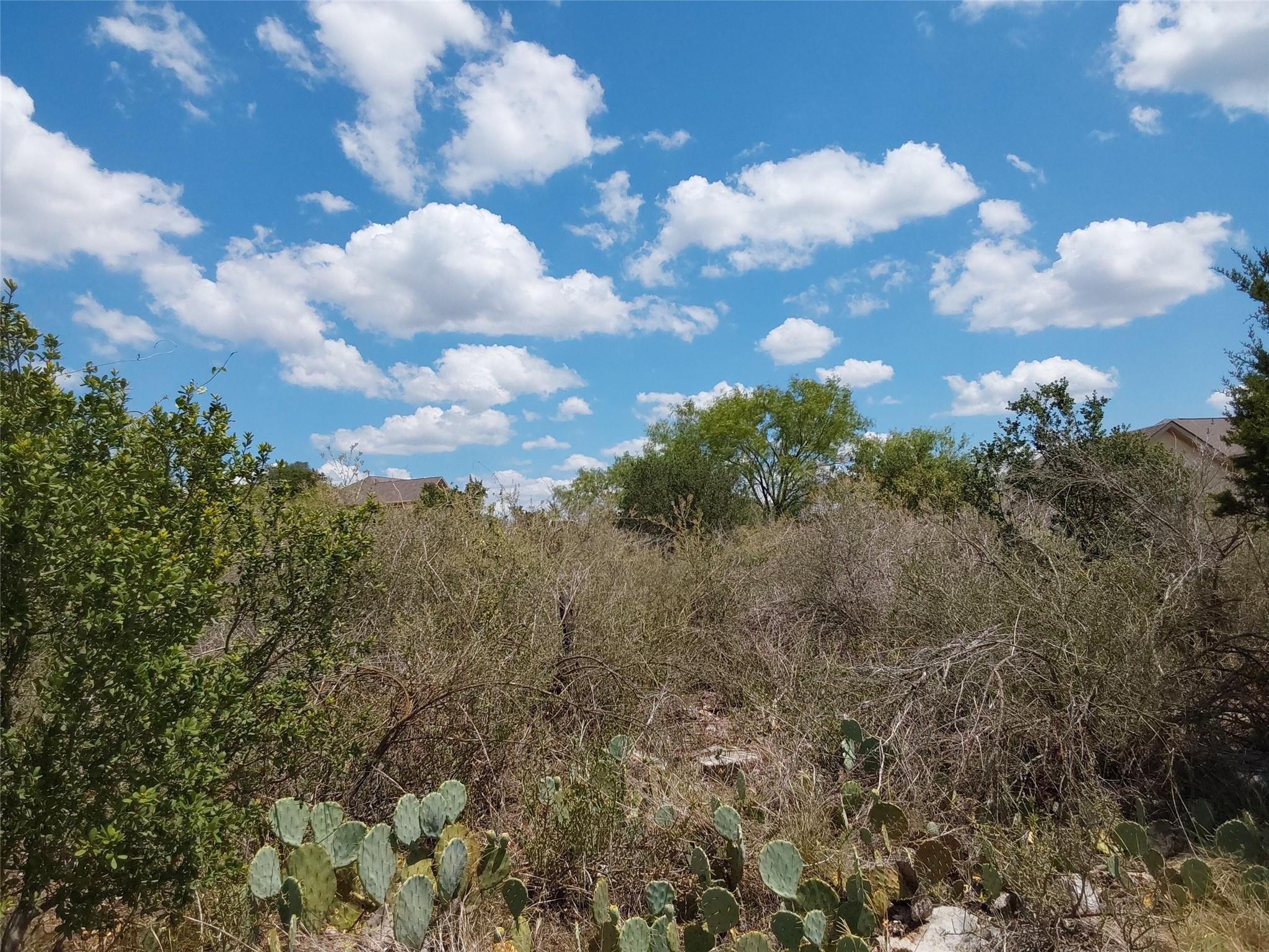 LOT 201 Sundance View Pt, Spicewood, TX 78669