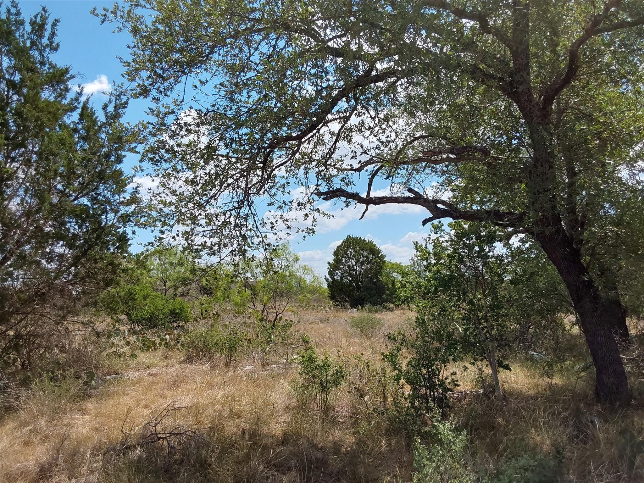 LOT 201 Sundance View Pt, Spicewood, TX 78669